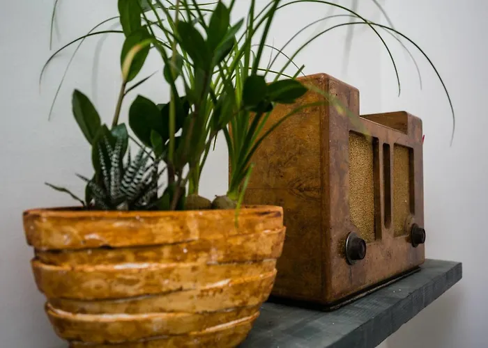 Bed & Breakfast Casa Retro'